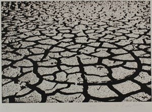 Image description is not available for FIM2015.393.2